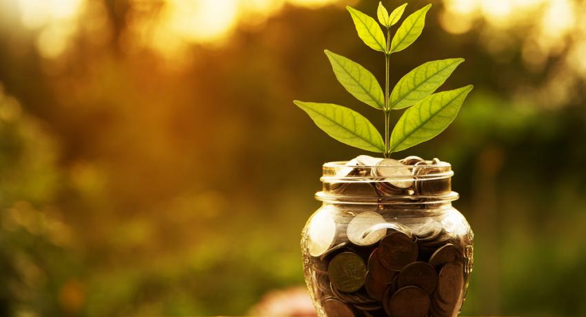 A small plant growing from a jar of coins.